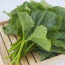 호박스포츠 이미지