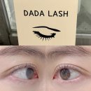 다다래쉬 - 고양시 덕양구 | 이물감 없는 꼼꼼한 속눈썹펌 청라속눈썹 다다래쉬 후기