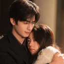 인제MJ 태양광 | 교양사아 기본정보·줄거리·결말·리뷰·등장인물 정리 중드 (송위룡, 조금맥)