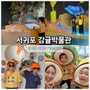 향토자료전시관 | 제주감귤박물관 아이들과 다녀온 서귀포가볼만한곳 후기