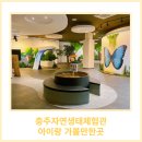 충주자연생태체험관(1층) | 충주 아이와 가볼만한곳 충주자연생태체험관