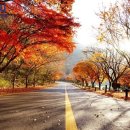 수강한의원 이미지