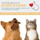 유성동물병원 이미지