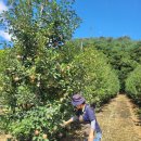 두영농장 이미지