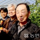 대저토마토산지유통센터 이미지