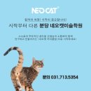 네오캣디자인관미술학원