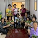 구구팔팔 이미지