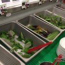 대박집월배역점 이미지