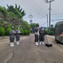 합동축산 뉴스제주