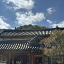 산들공원 | 아이랑김천여행: 1일차, 김천아이와 묵기좋은 사명대사공원 솔향스테이 내돈내산 산들솔 숙박후기 예약방법