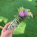 오도이촌 | 오도이촌 펜션에서 가월방학 로컬투어, 낭만 최고 촌캉스 후기