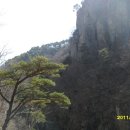 금화고속관광 이미지