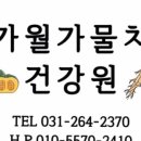 가월가물치 이미지