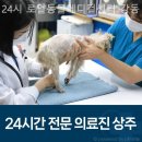 경기동물메디컬센터 이미지