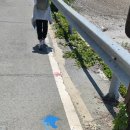 청산도횟집 이미지