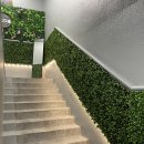 크로스핏 벨즈 | 대구 칠곡 운동하기 좋은 곳 “크로스핏 벨즈”