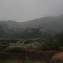 황산사과농원