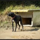 송지목장 이미지