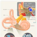 이영준한의원 이미지