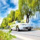 꽃-가족 이미지