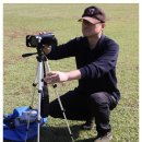 작은나무 이미지