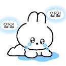 설옥칡냉면 이미지