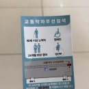 골든파크모텔 | 4박 5일 뚜벅이 제주도 여행 : 팔복만두, 너는파라다이스길리, 살구나무행원언덕