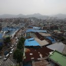 나무전거리 이미지