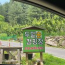 혹서기 대비 여름 캠핑 START! &lt;가평두밀숲캠핑장&gt;
