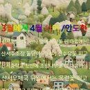 산서초 앞 Daum카페