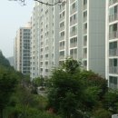 송*용
