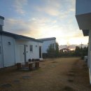 소보리애 이미지