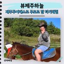 에이티투어(주) | 제주도 승마체험 뷰제주하늘 아기와 제주투어패스 200% 활용법