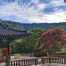 선문염송설화 이미지