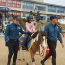 불은초교 이미지