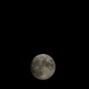 캔디키즈풀빌라 이미지