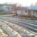 아담농장 이미지