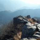 금수강산 이미지