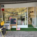 인생댕컷 반려견미용실 이미지