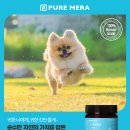 라온퓨어