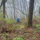 공치는날 이미지