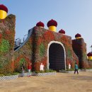 플라워캠핑장 이미지