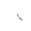 인천대공원(자전거광장) 이미지
