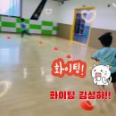 타이곤체육관 Daum카페