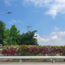 젠틀콩(덕소점) | 토스 시험 전날 블챌일기