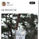 회.ZIP