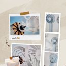 금요특집 =＞ 영재퀴즈ㅡ두개~ 도던! =＞ 정답발표! 이미지