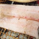 천년풍천장어B Daum카페