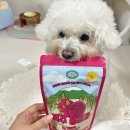 홍용의 | [제주강씨네] '제주 홍용과' 강아지 동결건조 간식