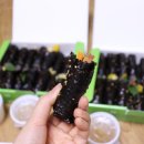 맛자랑꼬마김밥 이미지